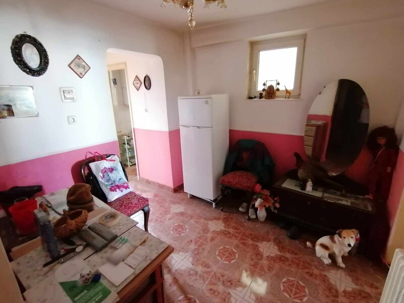 Colentina, Tei, Ripiceni,